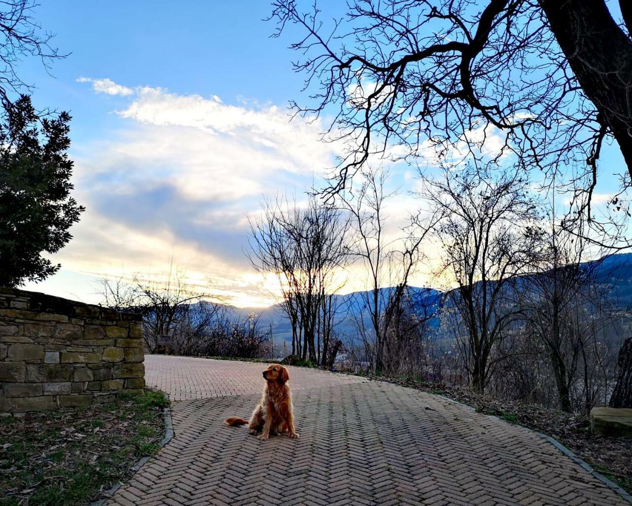 Agriturismo Il Salice Tizzano Val Parma ภายนอก รูปภาพ
